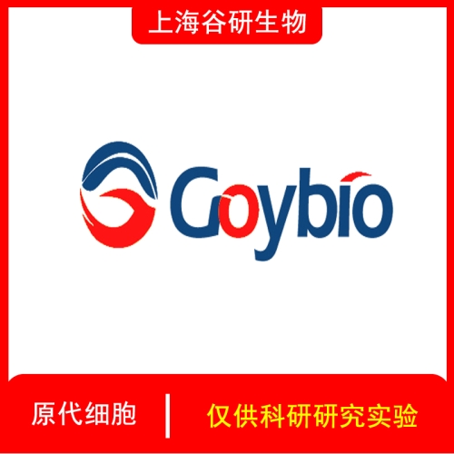 小鼠肺微血管内皮细胞